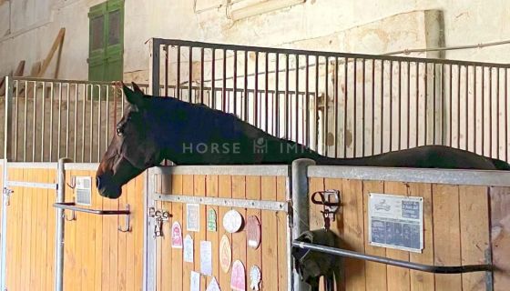 A vendre Domaine languedocien avec installations Ã©questres 34140 Meze