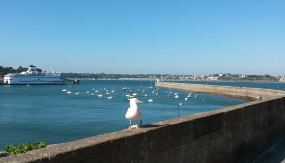 For sale SAINT MALO