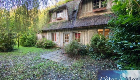 For sale BEAUTIFUL 9 ROOM THATCHED ROOMS 176 M² HERICOURT EN CAUX