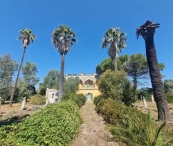 En venta villa histórica 25 habitaciones 915 m² en Puglia Mesagne