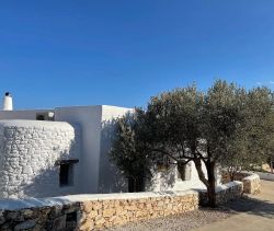 For rent Property for vacation rental 15 beds Paros