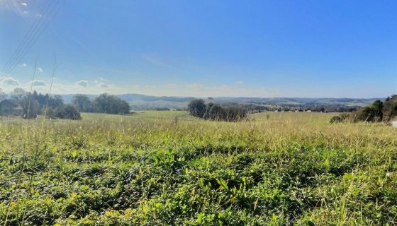 For sale Exceptional Land 1000 M² ORTHEZ