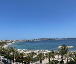 A vendre STUDIO  24 M2 TERRASSE PIEDS DANS L'EAU GOLFE JUAN