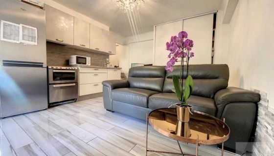A louer APPARTEMENT T2 30 M2 TERRASSE BORD DE MER LE CANNET