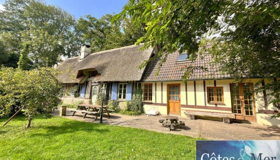 For sale 6 ROOM THATCHED 160 M² CANOUVILLE