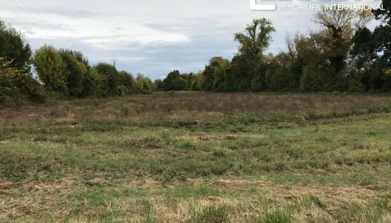 A vendre Grand terrain Ã  bÃ¢tir avec autorisation pour deux propriÃ©tÃ©s 17330 Saint Pierre De L Isle
