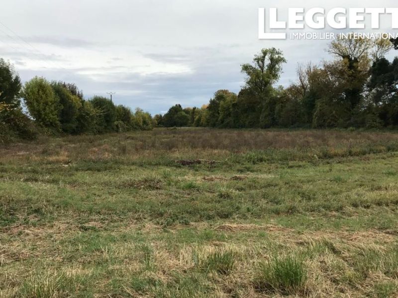 A vendre Grand terrain Ã  bÃ¢tir avec autorisation pour deux propriÃ©tÃ©s 17330 Saint Pierre De L Isle