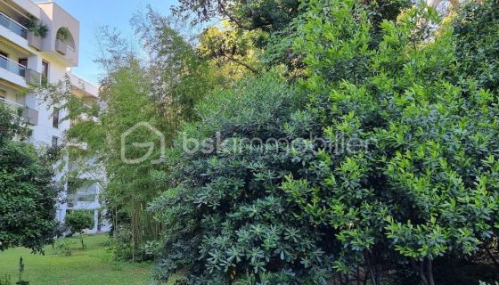 A louer APPARTEMENT T2 55 M2 TERRASSE  MONTPELLIER