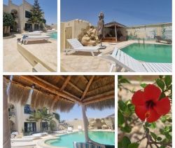 A louer APPARTEMENT  480 M2  DJERBA