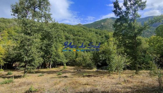 A vendre Terrain Ã  bÃ¢tir 66500 Clara Villerach