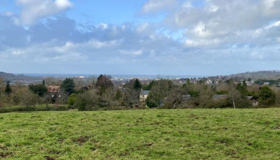 A louer BORD DE MER TOURGEVILLE