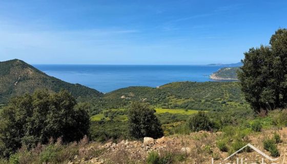 A vendre TERRAIN 11 000 M2 BORD DE MER VILLANOVA