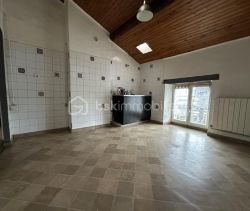 APPARTEMENT  239 M2  ALES