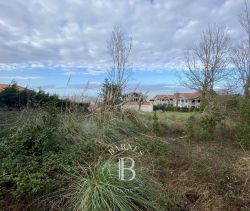 A vendre TERRAIN CONSTRUCTIBLE 5300 M² BIDART