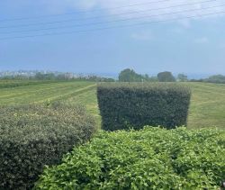 vente Maison bord de mer à Saint-Cast-Le-Guildo