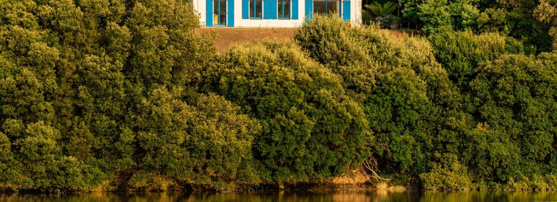 vente Maison de charme en bord de rivière