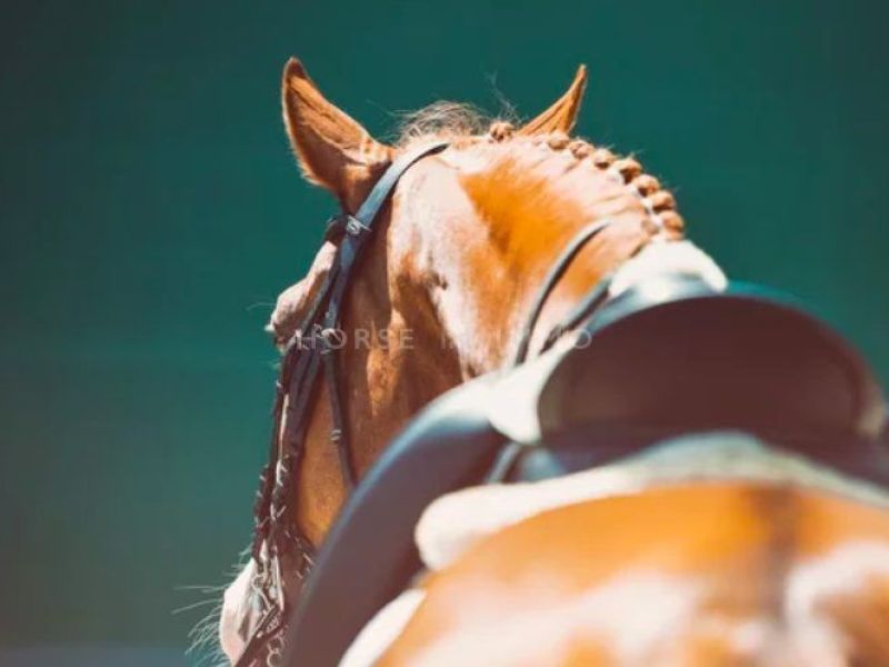 A louer MAISON  7 PIECES 160 M2  MONTPELLIER