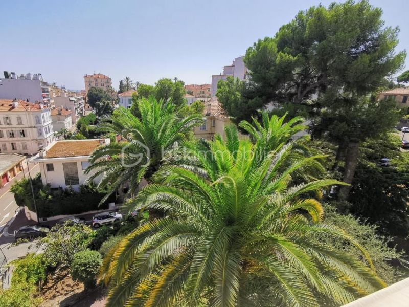 APPARTEMENT DE PRESTIGE T2 78 M2 TERRASSE BORD DE MER CANNES