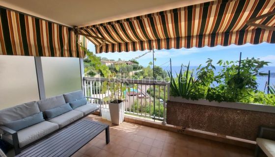 A vendre APPARTEMENT T3 64 M2 TERRASSE BORD DE MER ÃZE