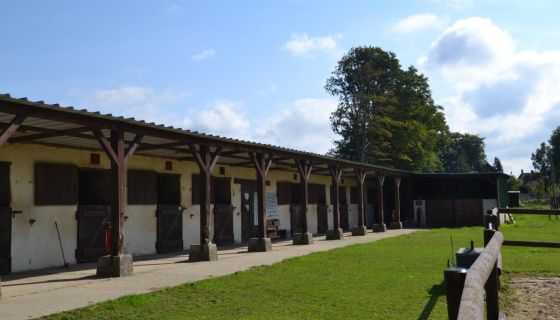 A vendre CENTRE EQUESTRE PROCHE VEULES LES ROSES