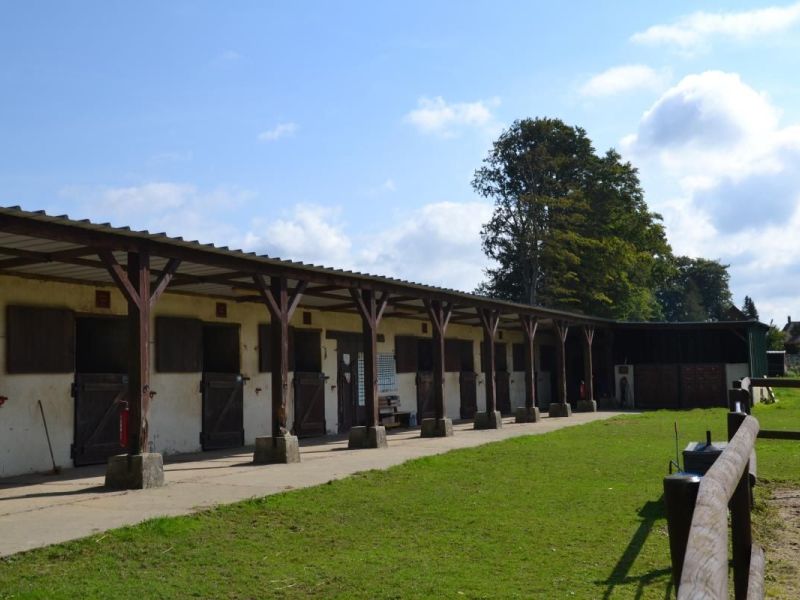 A vendre CENTRE EQUESTRE PROCHE VEULES LES ROSES