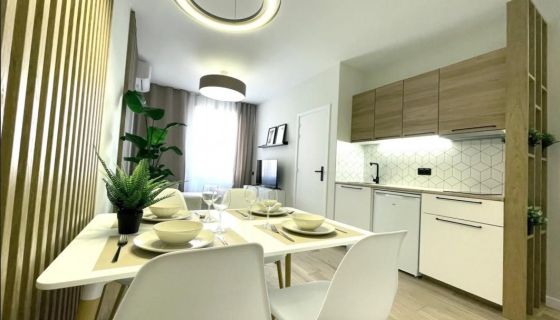 A louer APPARTEMENT T2 29 M2 BORD DE MER CANNES