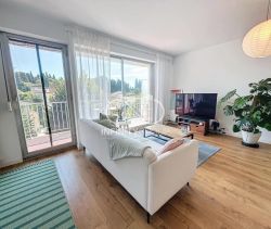 A louer APPARTEMENT T2 48 M2 TERRASSE BORD DE MER ANTIBES