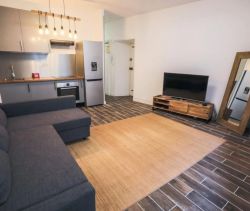 A louer APPARTEMENT T2 40 M2 BORD DE MER CANNES