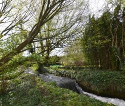 A vendre MAISON  DE MAîTRE BORD DE MER CANY BARVILLE
