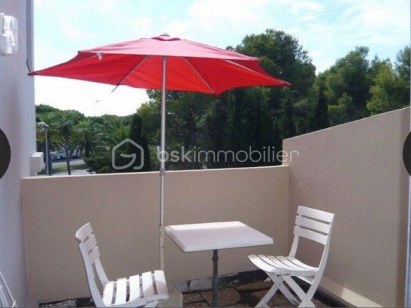 STUDIO  24 M2 TERRASSE BORD DE MER SAINT CYPRIEN