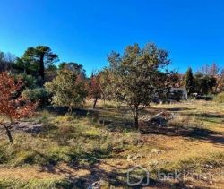 A vendre TERRAIN CONSTRUCTIBLE 1092 M² -LIBRE CONSTRUCTEUR Saint Antonin Du Var