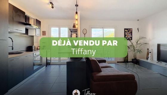 A vendre APPARTEMENT T2 51 M2 TERRASSE BORD DE MER NICE