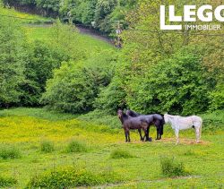 A louer MAISON  DE MAîTRE  LONGMESNIL