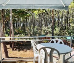 A vendre STUDIO  22 M2 BORD DE MER LA PALMYRE   LES MATHES