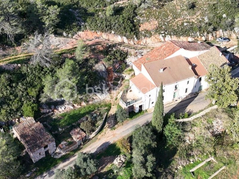A louer GîTE  SAINT CHINIAN