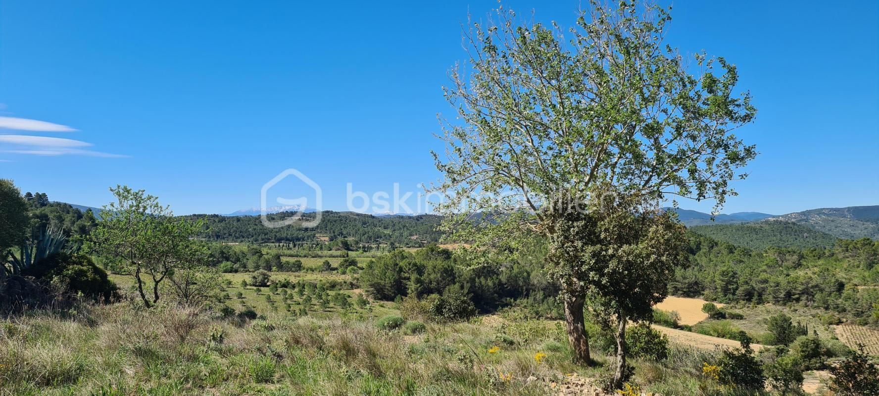 1.jpg-cote_littoral_464291