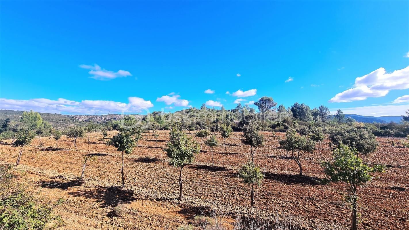 3.jpg-cote_littoral_464291