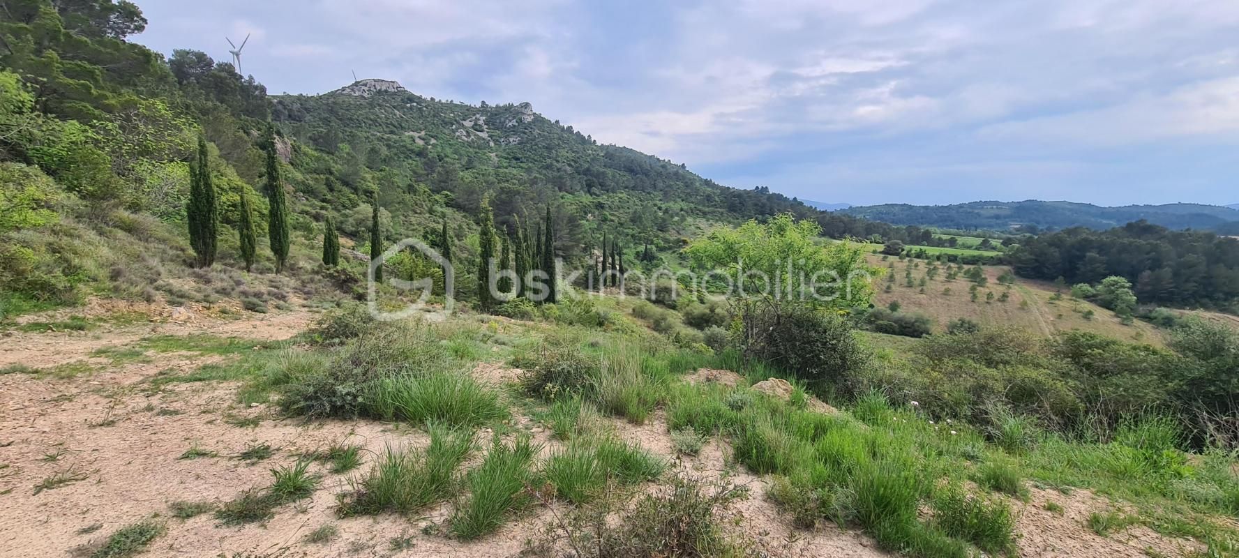 4.jpg-cote_littoral_464291