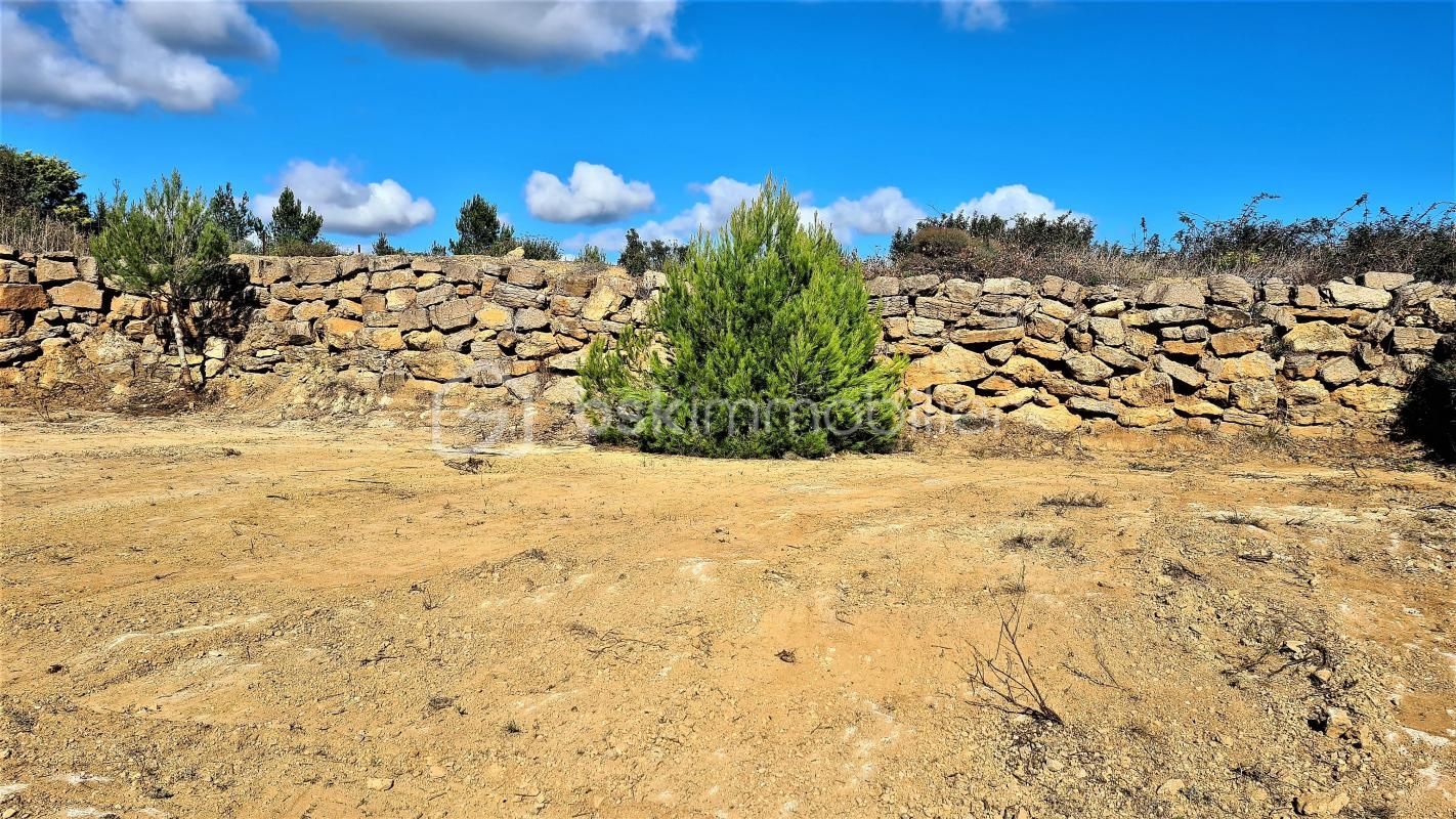 6.jpg-cote_littoral_464291
