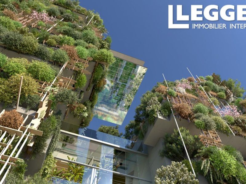 A louer APPARTEMENT T5 223 M2  MONTPELLIER