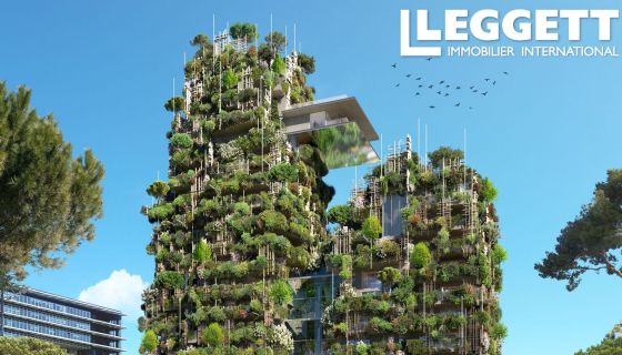 A louer APPARTEMENT T3 75 M2  MONTPELLIER