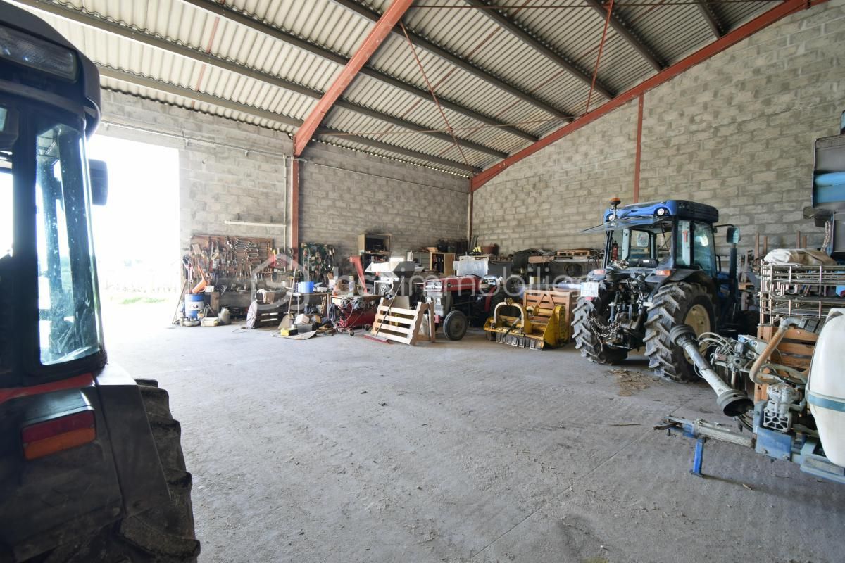 2.jpg-cote_littoral_464291