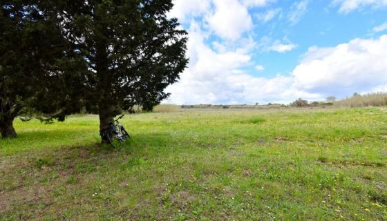 A vendre Maison 34140 Meze Proche