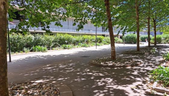 A louer APPARTEMENT T3 68 M2 TERRASSE  MONTPELLIER