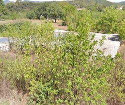 A vendre Terrain constructible  Pierrefeu-du-Var