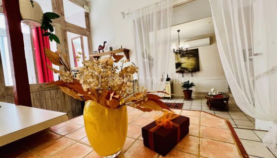 A louer LOFT  7 PIECES 158 M2 BORD DE MER LA PALME