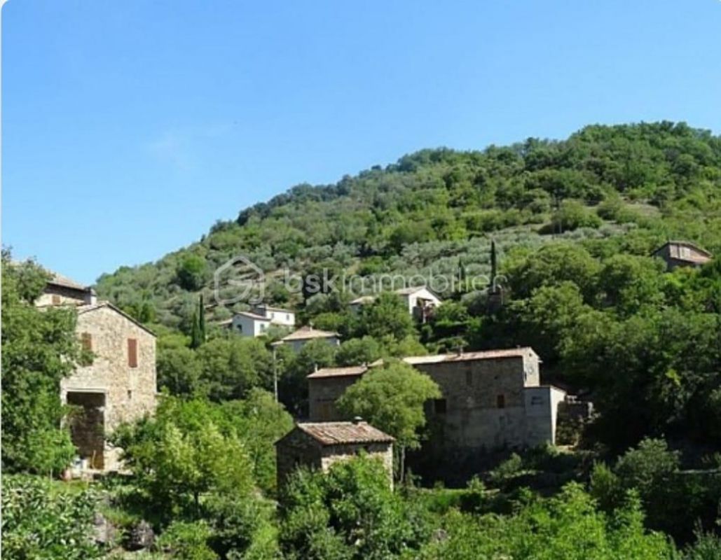 1.jpg-cote_littoral_464291