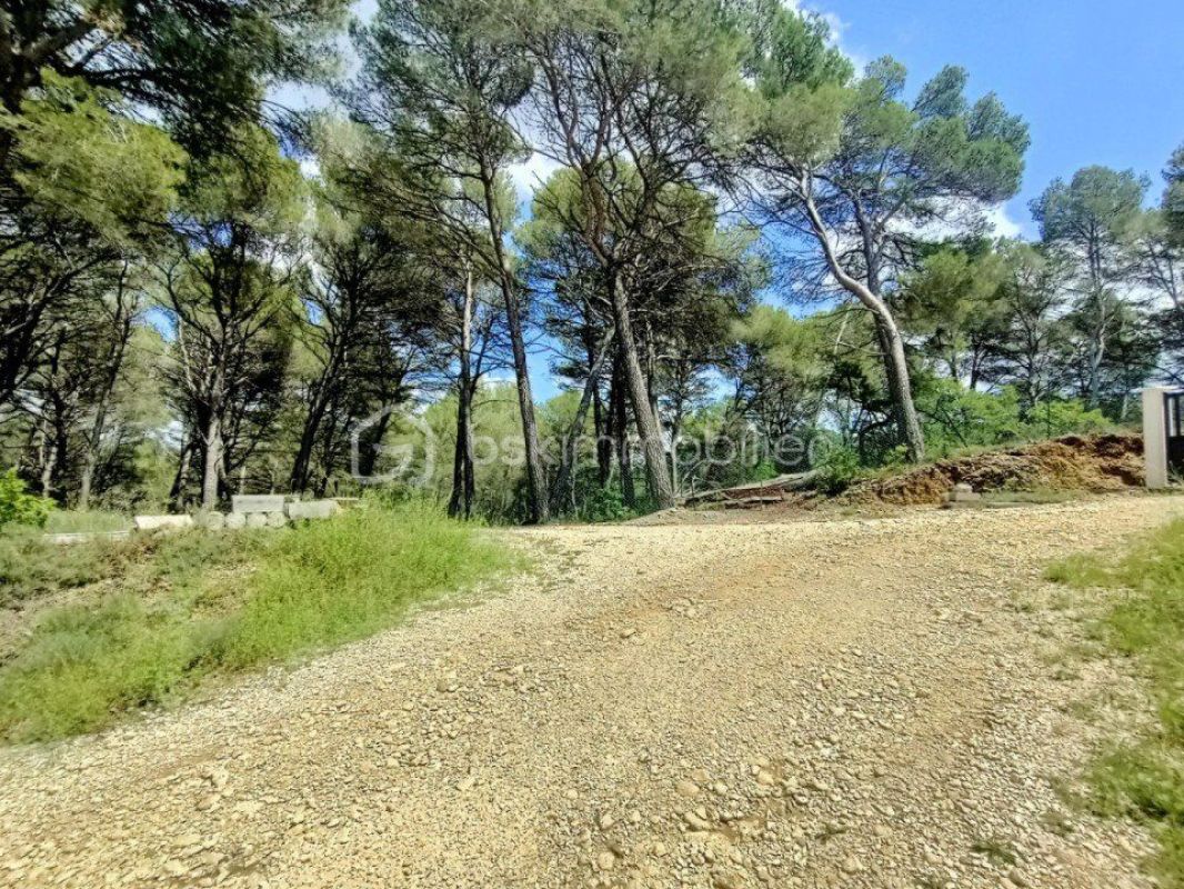 1.jpg-cote_littoral_464291