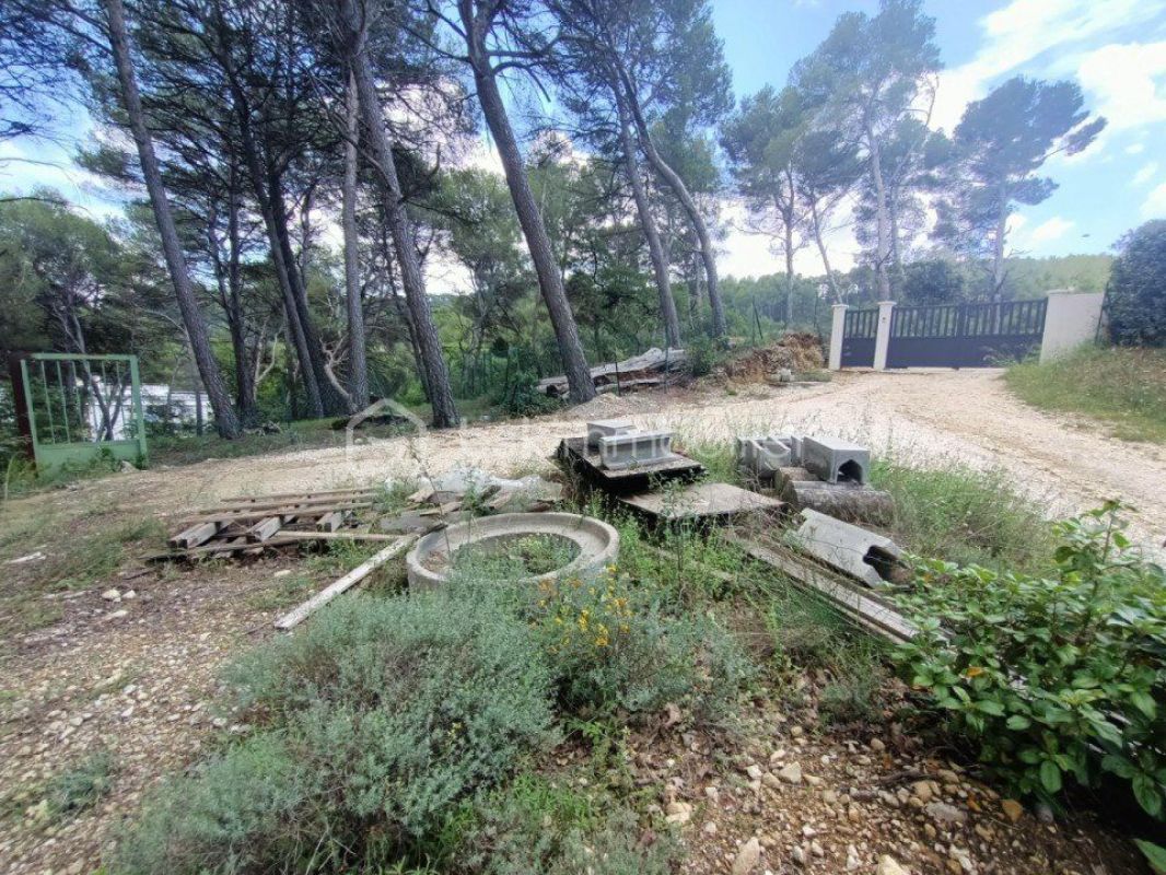 2.jpg-cote_littoral_464291