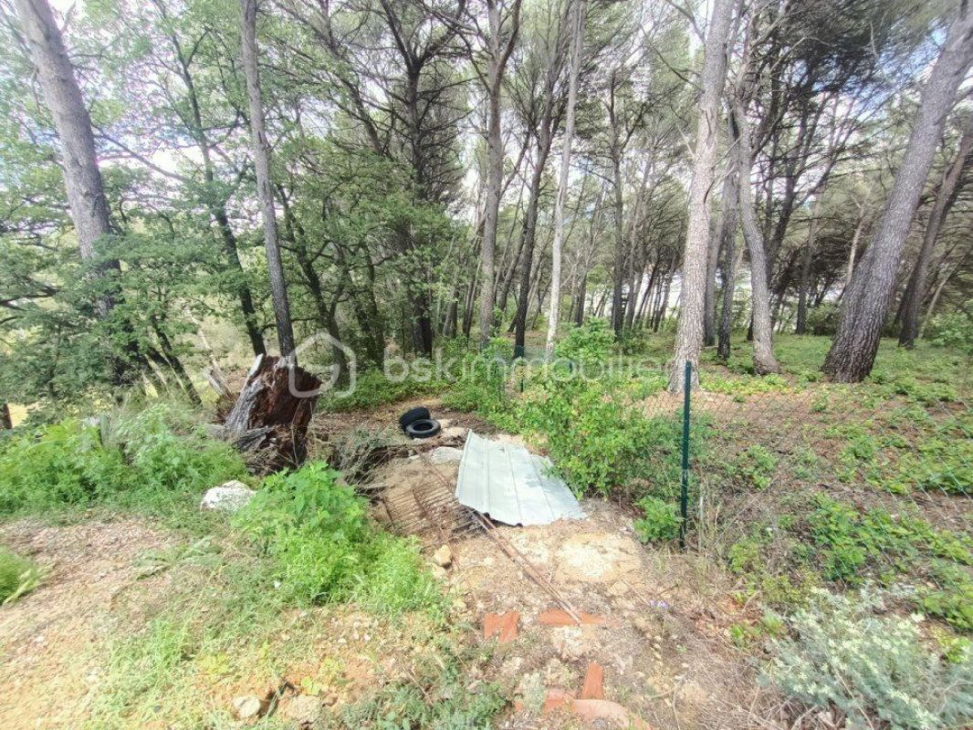 3.jpg-cote_littoral_464291